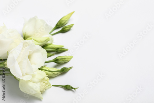 Bouquet of beautiful eustoma flowers on white background
