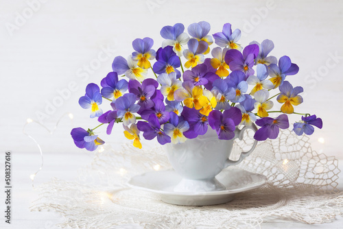 A bouquet of blue, violet, yellow pansies viola in a cup and saucer, a lace napkin on a white table against the wall. Romantic postcard, blur, selective focus.