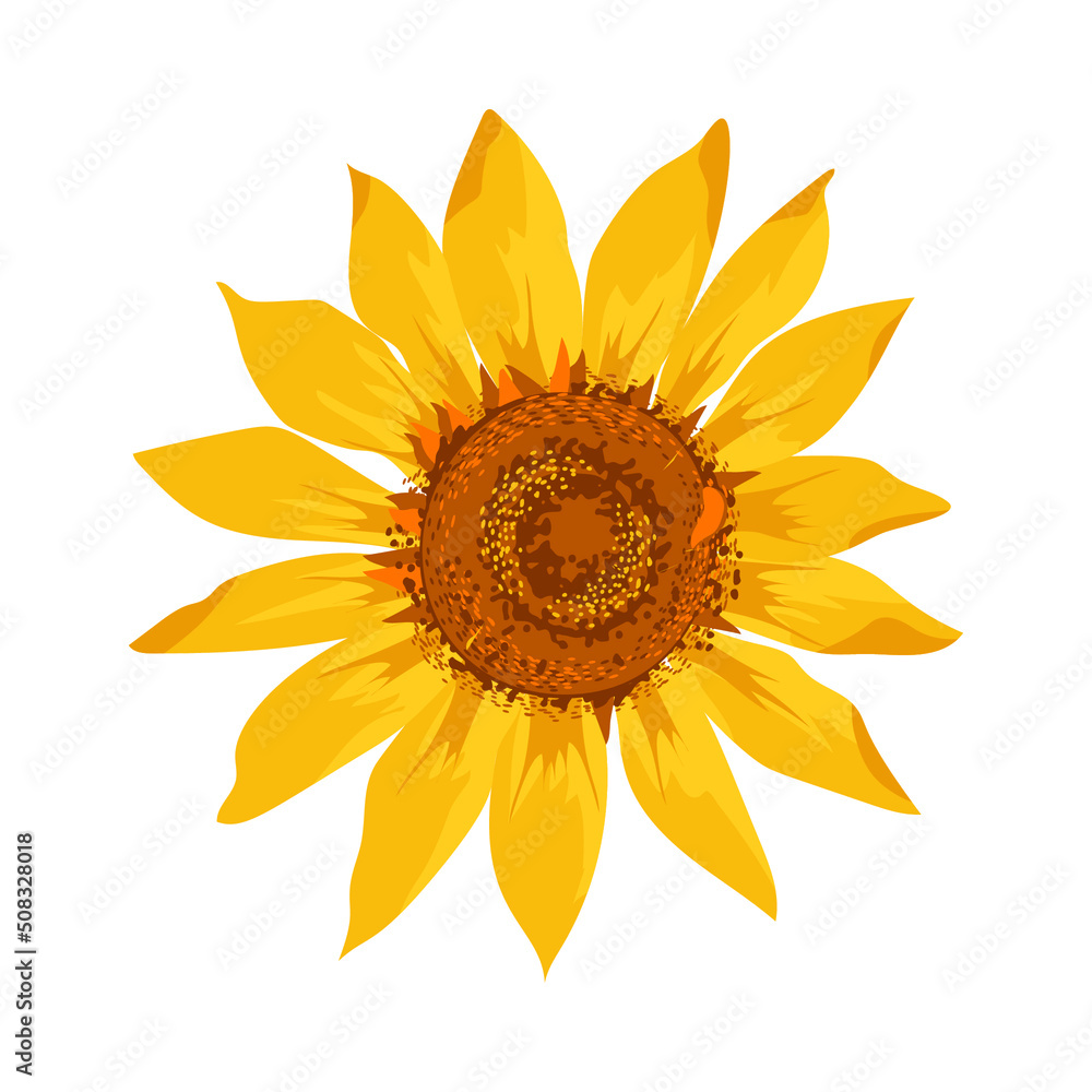 Sunflower flower ring. Hand drawn sketch. Watercolor effect vector illustration. Sunflower flower ring. Hand drawn sketch. Watercolor effect vector illustration.