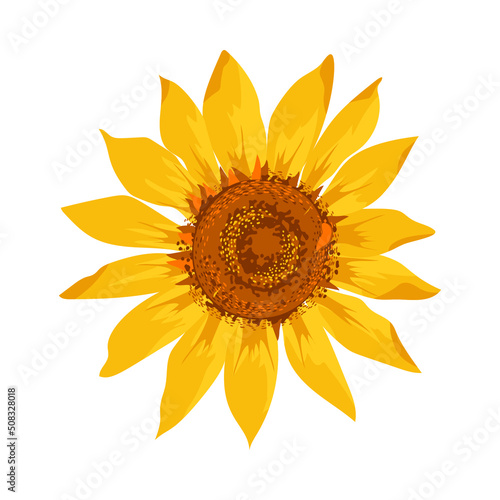 Sunflower flower ring. Hand drawn sketch. Watercolor effect  vector illustration. 