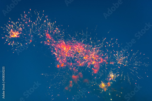 Fireworks with blurred background in the night sky in the form of a horse. Holiday  new year  christmas.