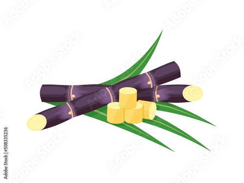 Vector illustration of sugarcane, isolated on white background, suitable as a packaging label for processed sugarcane products.