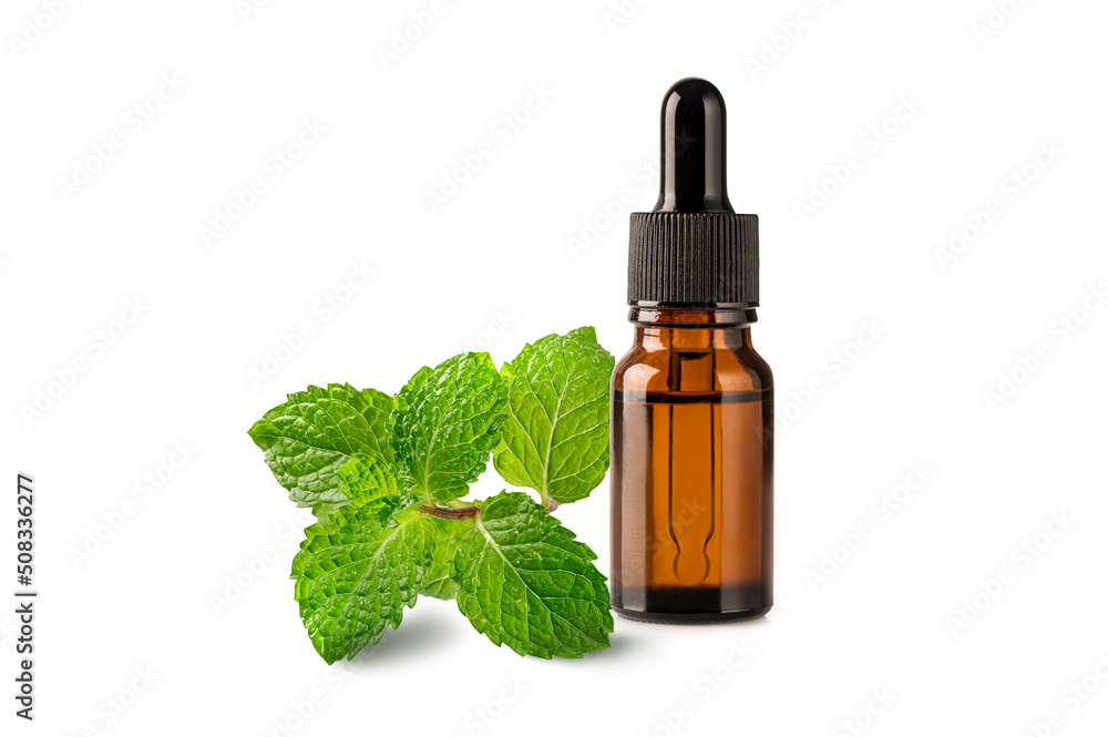 Bottle of essential oil with mint isolated on white background. Bottle of essential oil with mint isolated on white background.