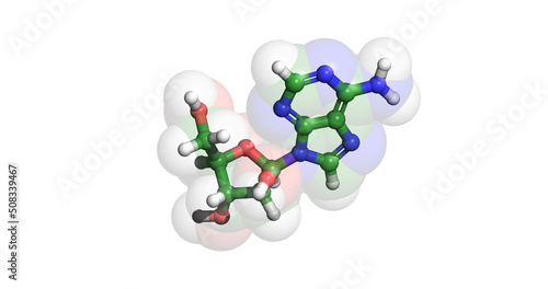 Vidarabine, herpes drug, 3D molecule photo