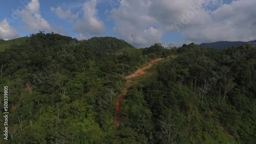 Jungle in colombian green mountains, Colombia. photo