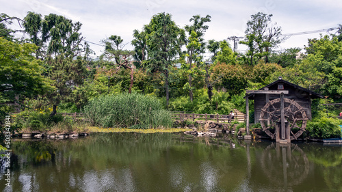 池のある公園