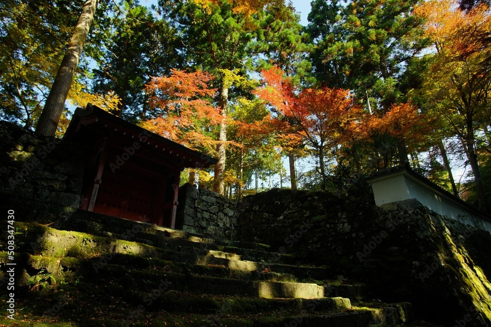Ohara Sanzen-in temple in autumn leaves season