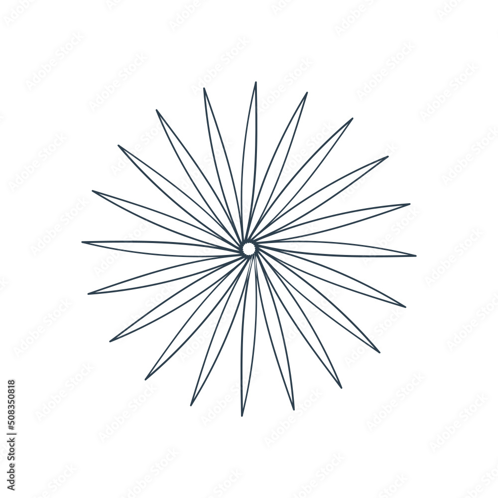 Modern Arch Boho Line Element Modern Arch Boho Line Element