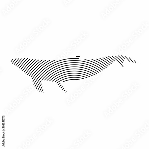 whale line logo design vector illustration