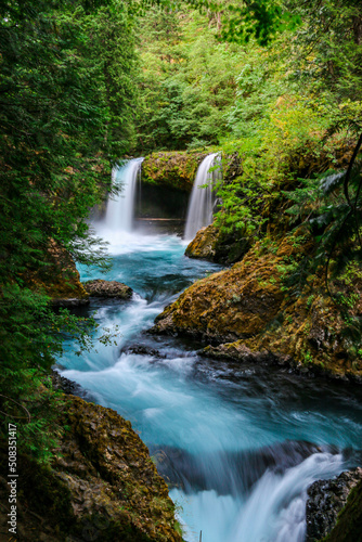 waterfall in the forest