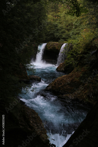 waterfall in the forest