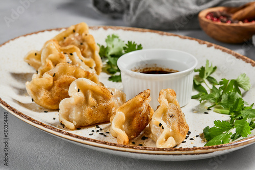 Oriental food - fried gyoza with sauce. Gyoza with pork in ceramic plate on gray concrete background.  Shrimp gyoza in minimal style. Aesthetic food menu. photo