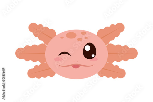 axolotl face icon