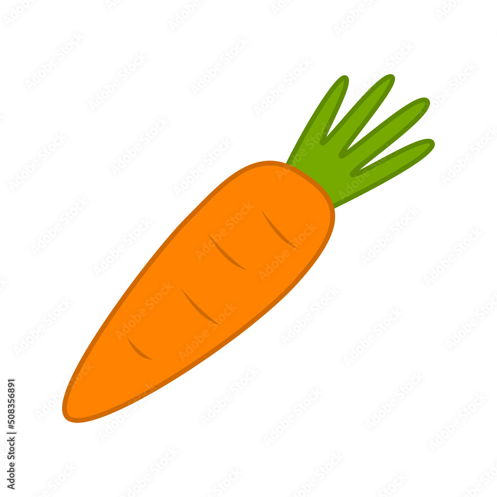 Carrot isolated on white background. Vector illustration Carrot isolated on white background. Vector illustration