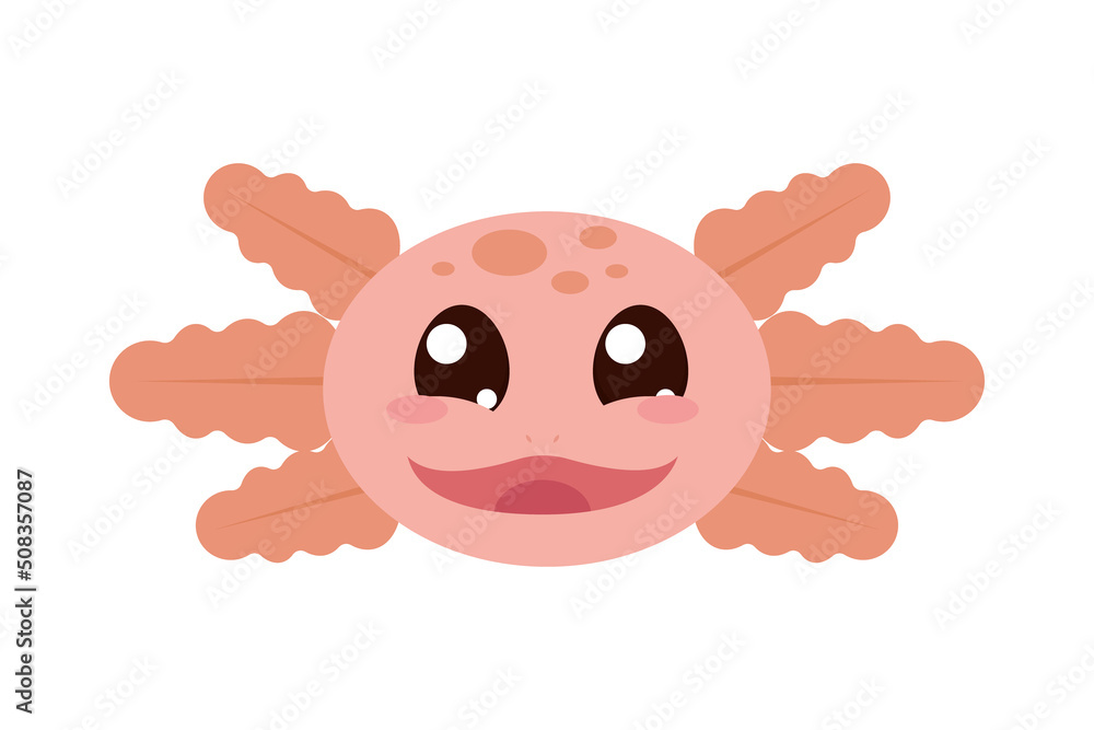 cute axolotl face cute axolotl face