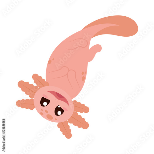 axolotl smiling icon