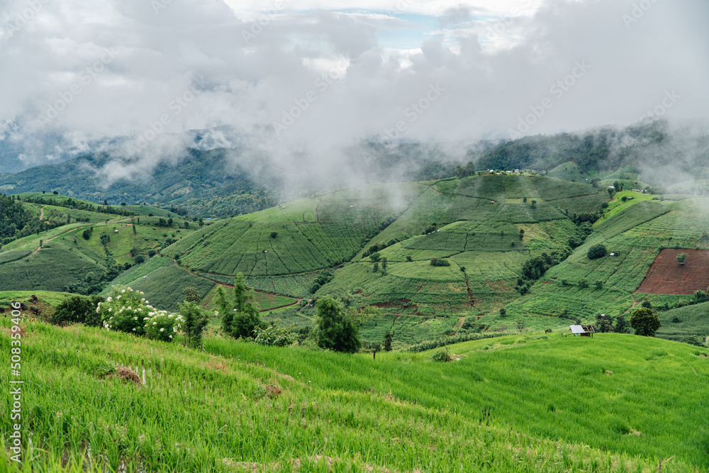 Obraz premium Green rice terrace fields and mountain background in rainy season.