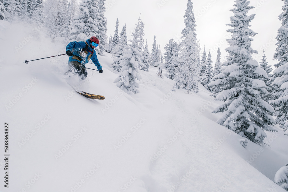Skier in snow powder in forest on steep slope of  ski resort. Freeride, winter sports outdoor