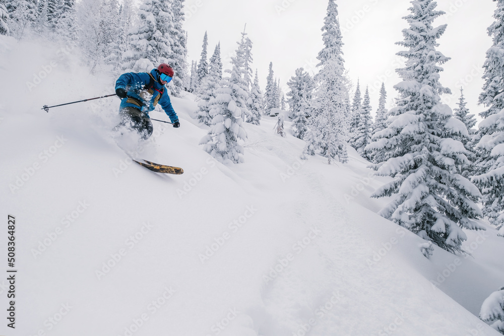 Skier in snow powder in forest on steep slope of ski resort. Freeride, winter sports outdoor Skier in snow powder in forest on steep slope of ski resort. Freeride, winter sports outdoor