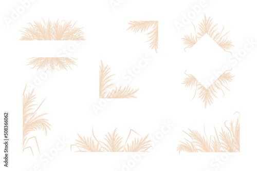 Dry pampas grass. Set of floral border frames design. Beige cortaderia in boho style. Vector flowers isolated on white background. Trendy templates for invitations, postcards, social media, stickers. photo