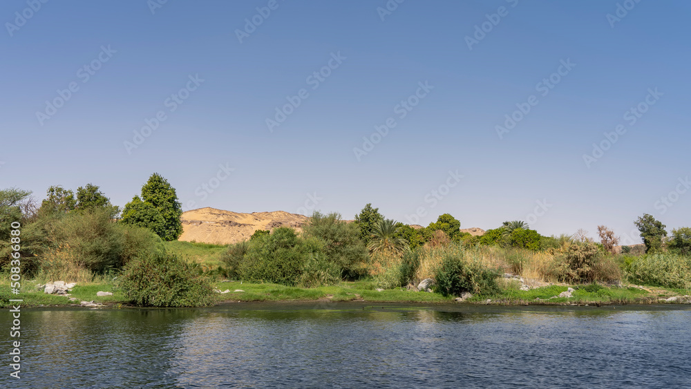 There is green vegetation on the river bank: bushes, palm trees, grass. A sand dune against a clear sky. Ripples on the blue water. Egypt. Nile
