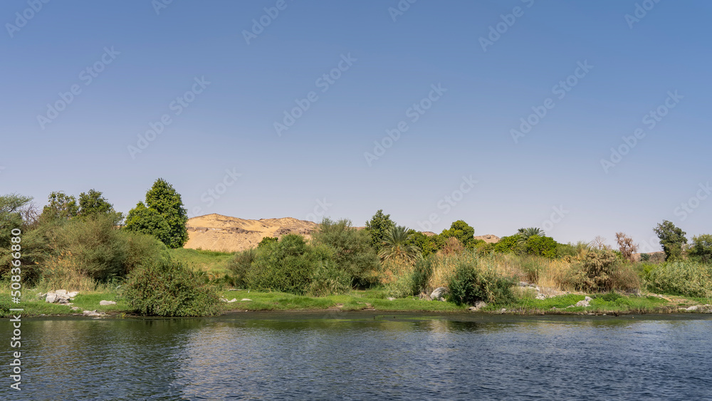 There is green vegetation on the river bank: bushes, palm trees, grass. A sand dune against a clear sky. Ripples on the blue water. Egypt. Nile There is green vegetation on the river bank: bushes, palm trees, grass. A sand dune against a clear sky. Ripples on the blue water. Egypt. Nile