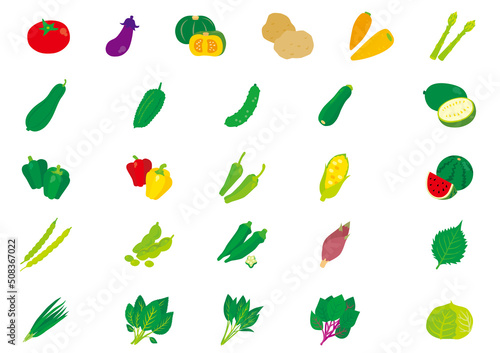 シンプルで可愛い夏野菜のイラストセット　白背景　ベクター　バリエーション　アイコン　クリップアート photo