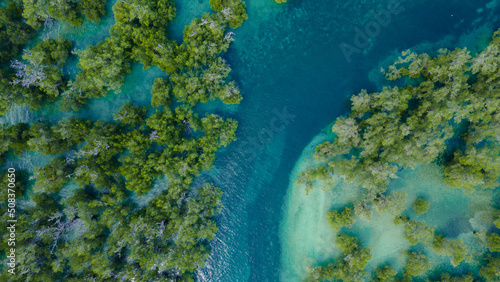 Fototapeta Naklejka Na Ścianę i Meble -  Aerial view of Mangrove forest, Mandalika surrounding area seascape aerial view