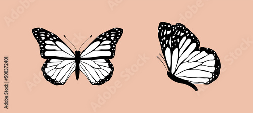 Black and white flying butterflies set isolated on pink background. Vector illustration for patterns, prints, coloring page.