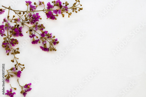 little purple flowers arrangement flat lay postcard style on background white 
