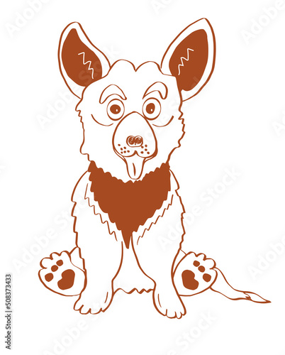 Funny friendly sitting welsh corgi. Vector, illustration.