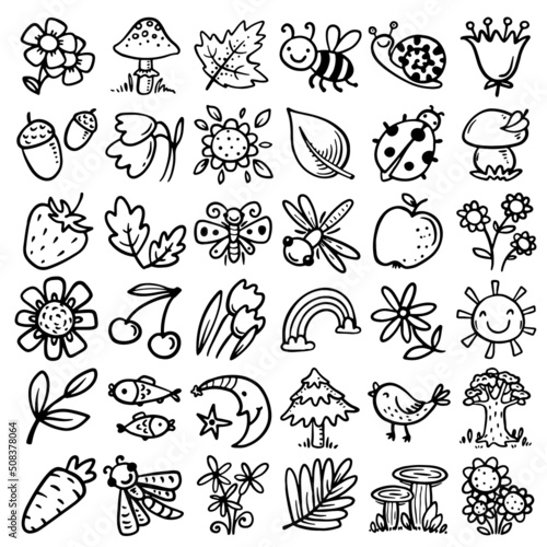 Nature pattern with hand drawn outline leaves, herbs, flowers, insects, animals and other objects