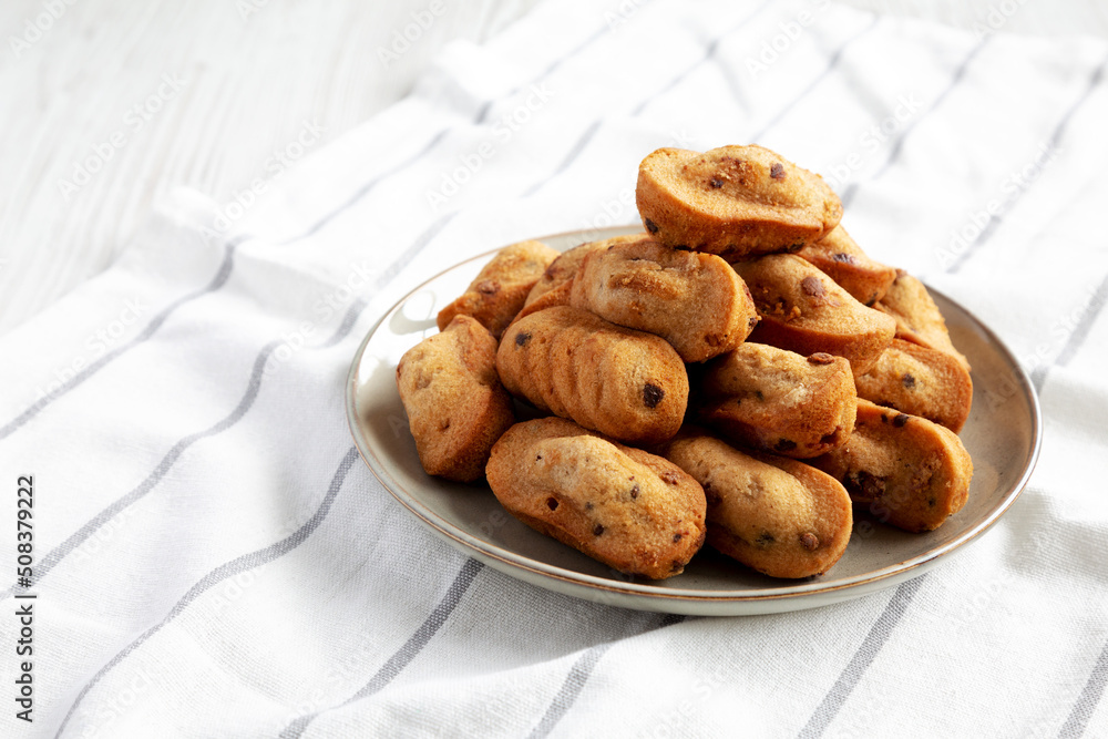 Homemade Chocolate Chips Madeleines on a Plate, side view. Copy space. Homemade Chocolate Chips Madeleines on a Plate, side view. Copy space.