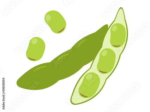 そら豆のアイコン