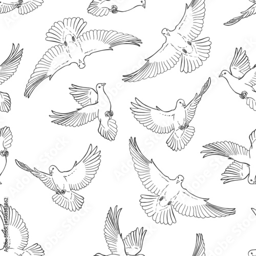 Seamless pattern with hand drawn dove outline. Line art style. photo