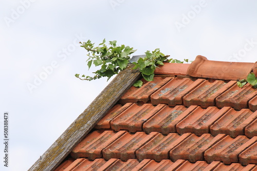 Von der Dachtentmoosung auf eigene Faust sollten Sie aufgrund des Unfallrisikos absehen, ihr Dach ist Expertensache. Hier kann ein Dachdecker helfen. Handwerk, Sanierung, Reinigung, Dachsanierung photo