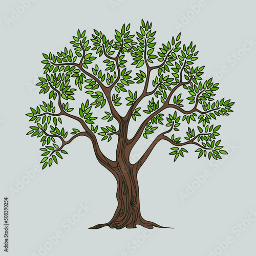 Almond tree, nut wood with branches and green leaves isolated on the grey background. Design element, cartoon style. Vector illustration.