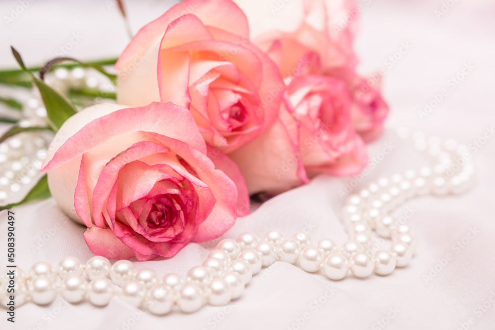 The branch of pink rose on white fabric background