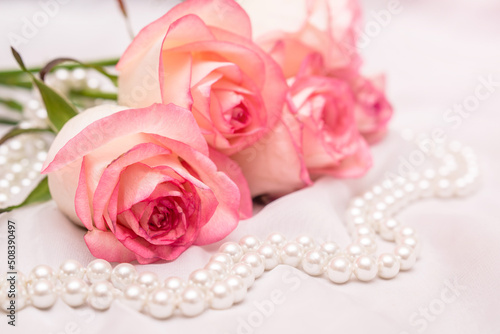 The branch of pink rose on white fabric background