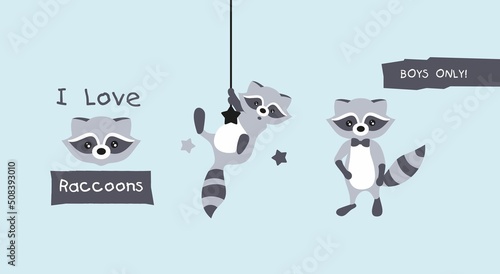 Vector illustration of cartoon raccoons. Gray striped raccoons on a light blue background. Posters for the children's room. A raccoon hangs on a rope. Only boys can.