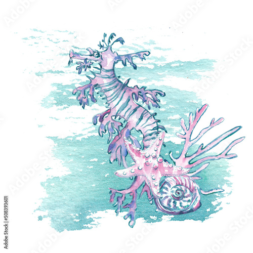 Watercolor marine composition isolated on white. Hand painted ocean animals, under the sea creatures. Seahorse, seastar, seashell and coral. Nautical clipart.  photo