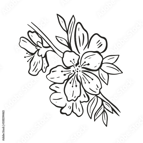 Flowering fruit tree branch hand drawn engraving isolated object. Apple, cherry, peach or almond blossom black sketch isolated on white background. Natural blossom decoration vector