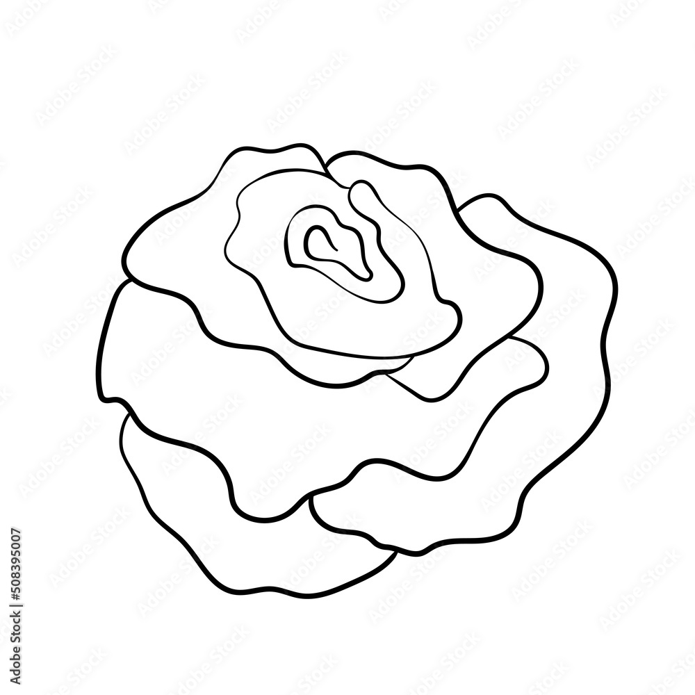 Floral silhouette art line. Flowers in continuous line drawing style. Border with tropical flower. Minimalist black linear sketch. Trendy vector illustration isolated. Contour graphics for design Floral silhouette art line. Flowers in continuous line drawing style. Border with tropical flower. Minimalist black linear sketch. Trendy vector illustration isolated. Contour graphics for design