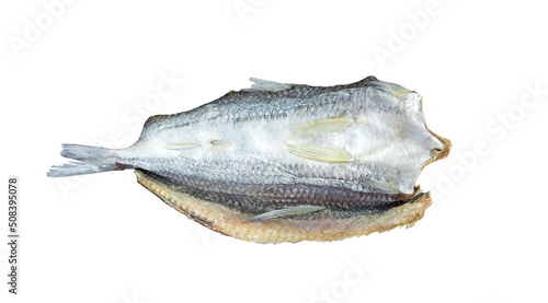 top view of dried fish of Shortfin Lizardfish isolated on white background,Clipping path