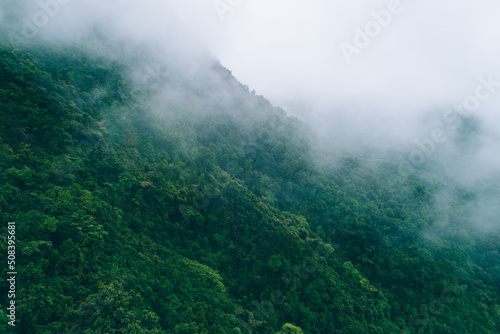 Aerial view of beautiful forest mountain landscape