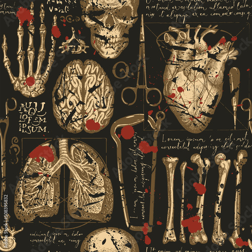 Anatomy seamless pattern with draw human organs