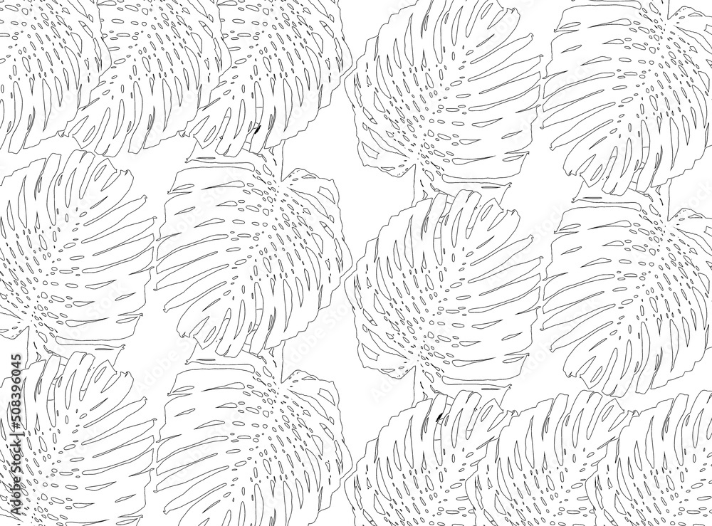 contours de feuilles de philodendron en fond de page blanche 