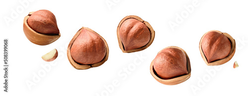 full Hazelnut fly on white isolated with clipping path, Hazelnut nut isolated, Set of hazelnuts ,hazel fall, Hazelnut pieces in the air photo