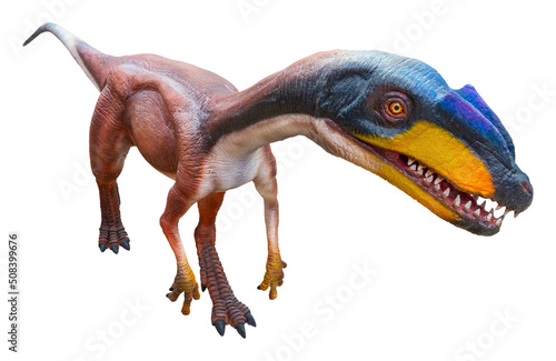Fototapeta Naklejka Na Ścianę i Meble -  Syntarsus Kayentakatae is a carnivorous species of coelophysid dinosaur that lived during the Jurassic Period. Syntarsus Kayentakatae is isolated on white background with a clipping path.