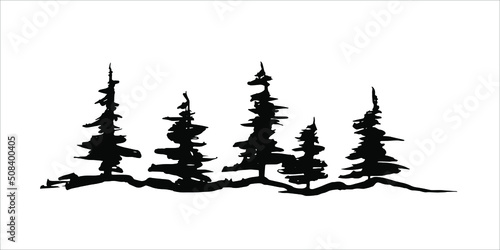 Ink spruces. Vector conture, black silhouette. Dark forest